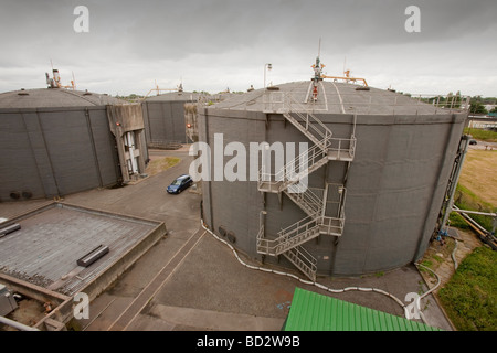 Biodigesters la produzione di biogas da fanghi di depurazione di convertire in energia verde a Daveyhulme impianto di depurazione delle acque reflue, Manchester, Regno Unito. Foto Stock