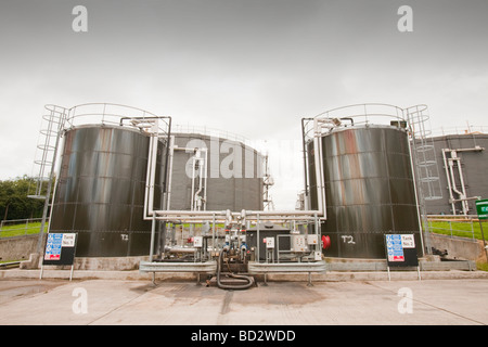 Biodigesters la produzione di biogas da fanghi di depurazione di convertire in energia verde a Daveyhulme impianto di depurazione delle acque reflue, Manchester, Regno Unito. Foto Stock