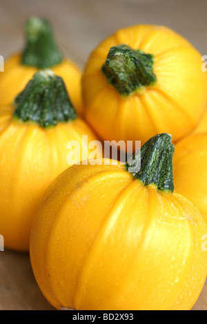 Il giallo di zucchine Foto Stock