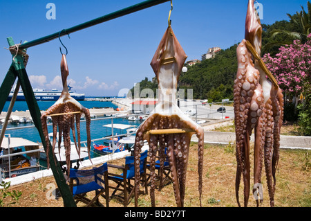 Il polpo di essiccazione al sole al di fuori di un ristorante a Poros sul Mediterraneo greca isola di Cefalonia in Grecia GR Foto Stock