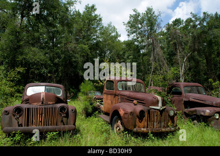 Vecchi veicoli Ford sul lato di una strada in Wakulla, Florida Foto Stock