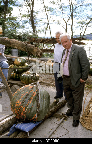 Provincia di Varese Santa Caterina del Sasso Foto Stock