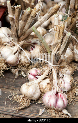 Aglio nel mercato a Aix en Provence Provence Alpes Côte d Azur Francia Foto Stock