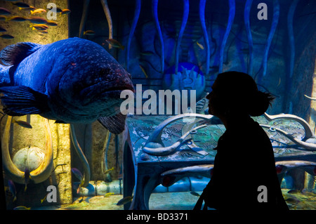 Acquario delle Camere Perdute in Atlantis Hotel Dubai Emirati Arabi Uniti Foto Stock