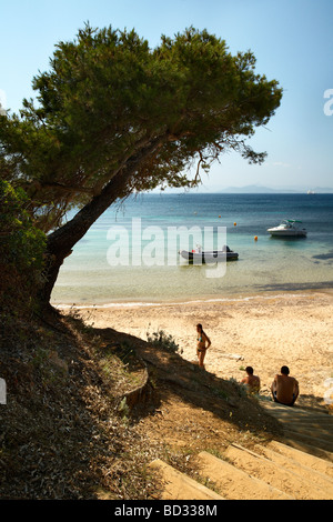 I turisti a Plage de l'Alycastre, Ile de Porquerolles Foto Stock