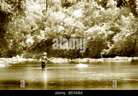 Infrarossi e dai toni seppia di pesca a mosca nel fiume di trota Foto Stock