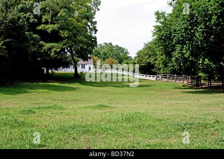 Bianco in legno coloniale casa colonica con erba di prato campo e alberi di fronte barricati con un recinto bianco Foto Stock