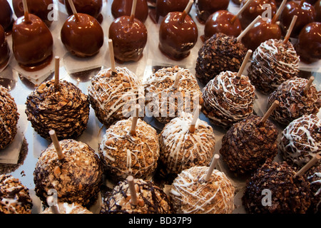 Varietà di deliziose mele caramella ricoperta con il bianco latte e cioccolato fondente al caramello e i dadi su un bastone sul display Foto Stock