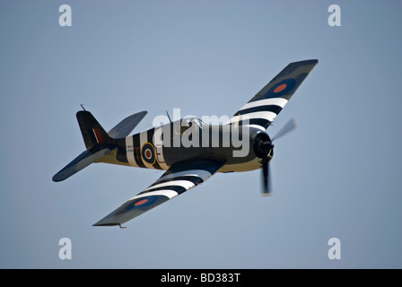 Un Grumman F6F Hellcat vola ad un air show. Foto Stock