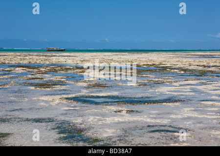 Spiaggia a bassa marea a Pingwe, Zanzibar, Tanzania Africa Foto Stock