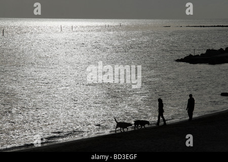 Le persone con cani camminando lungo la spiaggia al tramonto Foto Stock