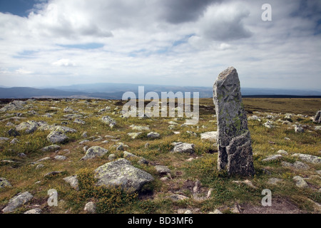 Pietra di confine con la Croce di Malta vicino al Sommet de Finiels Mont Lozère Parco nazionale di Cevennes Francia Foto Stock