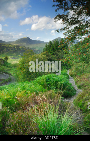 Guardando attraverso di Glyder Fawr e Glyder Fach da pendii della montagna di Moel Siabod Snowdonia National Park Wales UK Foto Stock