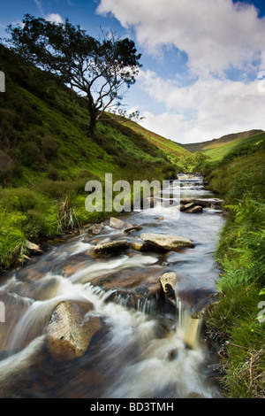 Fairbrook,Kinder,Woodlands Valley,Parco Nazionale di Peak District, Derbyshire, Inghilterra Foto Stock