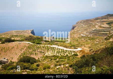Dingli Cliffs in Malta, dell'UE. Foto Stock