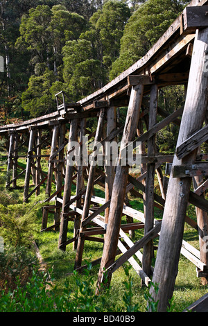 Il Puffing Billy Railway traliccio ponte costruito nel 1899 il Dandenong Ranges Victoria Australia Foto Stock