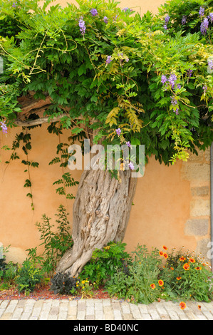 Street giardino display floreali nella città di St-Loup-Sur-Thouet in Deux Sevres, Francia Foto Stock