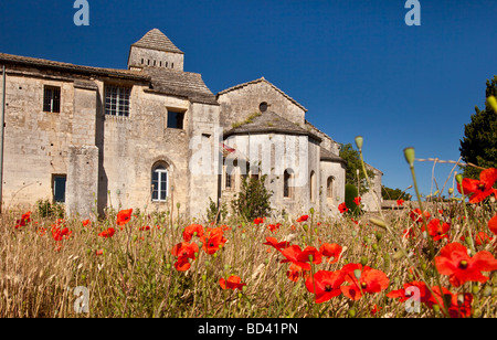 Papaveri rossi sotto Saint Paul de Mausole - l'asilo di Van Gogh, St. Remy de-Provence, Francia Foto Stock