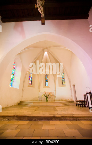 St Ruprecht la chiesa romana, interno, Wien, Vienna Foto Stock