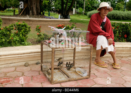 Vientiane, Laos, 2006 : Una donna al di fuori del Wat That Luang Neu tempio uccelli di vendita per gli acquirenti di rilasciare per buona fortuna Foto Stock