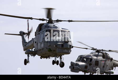 Royal Navy Westland Lynx ha3S ELICOTTERO Foto Stock