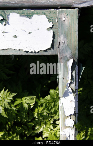 Una vecchia sedia in legno a sinistra in erba di sottobosco Foto Stock