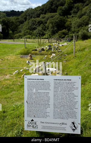 Cheveaux-de-frise difese Castell Henllys Iron Age Village Pembrokeshire Wales Foto Stock