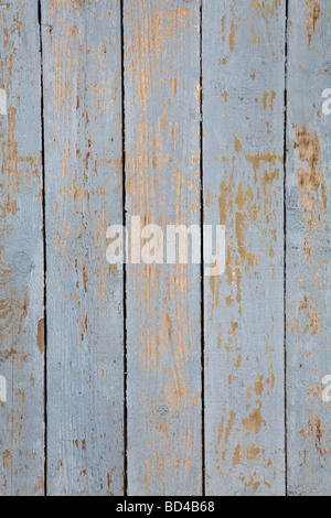 Grungy vernice blu su un pannello di legno Foto Stock