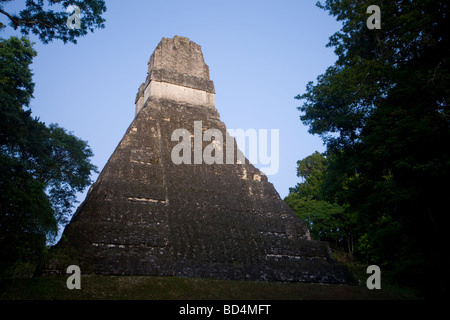 Sunrise presso le rovine maya di Tikal, Guatemala Foto Stock