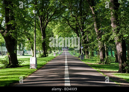 Una mattina tranquilla vista di Edimburgo di Prato Centrale a piedi Foto Stock