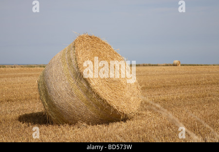 Le balle di paglia contro un cielo bluastro e il mare in lontananza, Danimarca Foto Stock