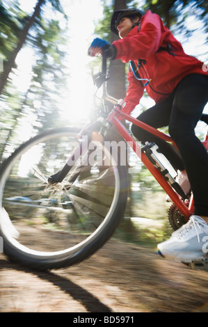 Biker nei boschi Foto Stock