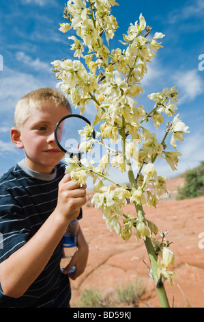 Un giovane ragazzo al Red Rock esaminando un impianto Foto Stock