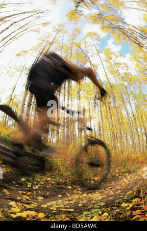 Biker nei boschi Foto Stock