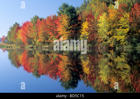 Autunnale di riflessione in un lago, Vermont, USA Foto Stock