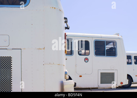 Gli autobus di colore bianco, Deira Corniche, Dubai, Emirati arabi uniti (EAU) Foto Stock