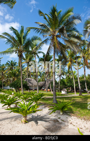 Karafuu Hotel Beach Resort, Pingwe, Zanzibar, Tanzania Africa Foto Stock