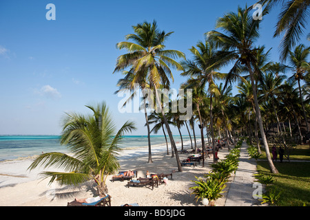 Karafuu Hotel Beach Resort, Pingwe, Zanzibar, Tanzania Africa Foto Stock