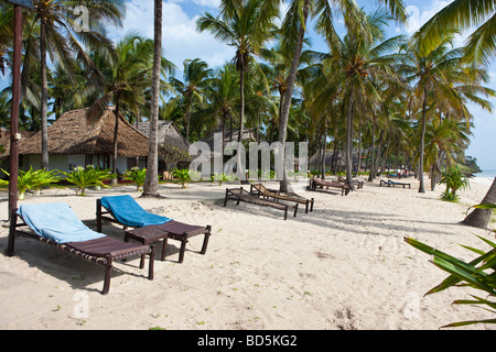 Karafuu Hotel Beach Resort, Pingwe, Zanzibar, Tanzania Africa Foto Stock