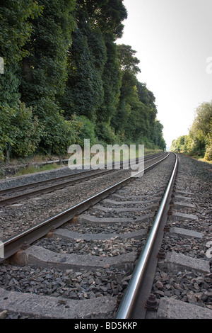 Binario ferroviario scomparendo in lontananza in un paesaggio rurale impostazione Foto Stock