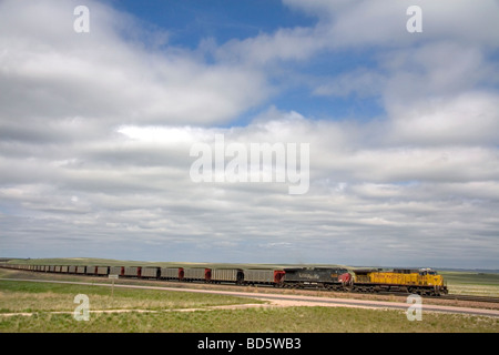 Union Pacific treno di unità di carbone che viaggiano nei pressi di Lusk Wyoming USA Foto Stock