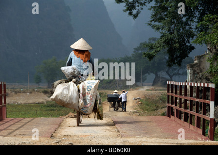 Donna che indossa cappello conico in sella moto caricata con la produzione di Tam Coc Ninh Binh Provincia Nord Vietnam Foto Stock