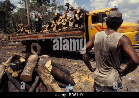Il trasporto della legna da ardere per la produzione di carbone di legna Amazon rain forest gioco la deforestazione in Brasile Foto Stock