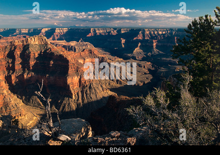 Stati Uniti d'America, Arizona, Grand Canyon NP. Tempio Mencius al punto sublime sul North Rim. Foto Stock