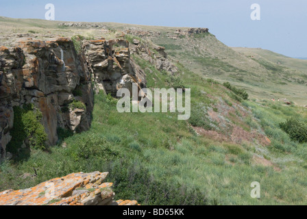 Salto del Bufalo Schiantato, Patrimonio Mondiale dell UNESCO Foto Stock