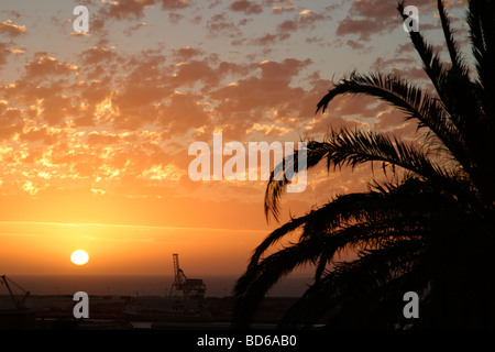 Sunset over fremantle docks con fronde di palma Foto Stock