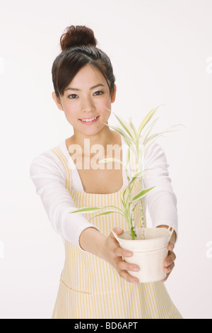 Giovane donna azienda pianta in vaso Foto Stock