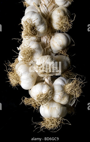 Treccia di aglio isolati su sfondo nero Foto Stock