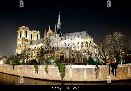 Vista sul retro della Cattedrale di Notre Dame a Parigi di notte guardando verso il basso la Senna Foto Stock