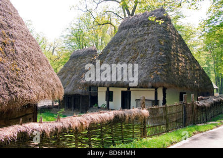 La Romania è il museo di musica tradizionale della civiltà contadina, homestead con tetto di paglia dimora, a Sibiu in Transilvania Foto Stock